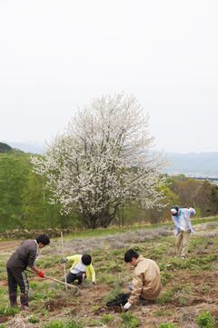 令和2年6月1日号表紙