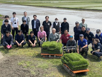田植え集合写真