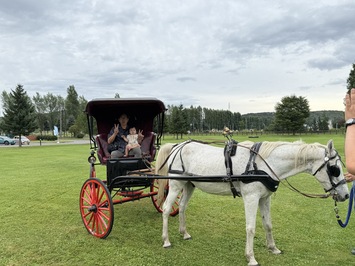 ソメスフェスタ