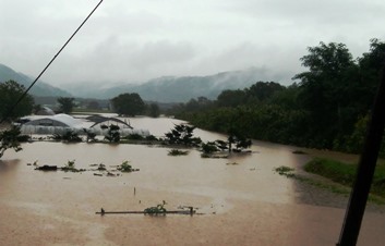 畑に越水した豊沼奈江川付近