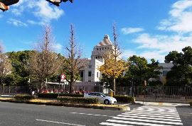 東京の景色（国会議事堂）