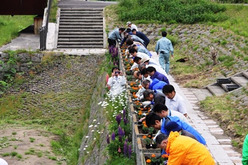 植栽の様子