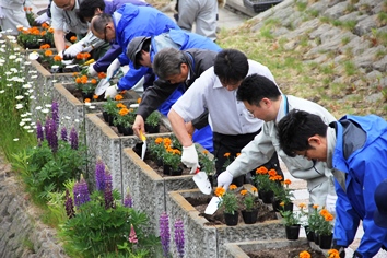 植栽の様子2