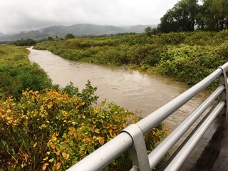 豊沼奈江川