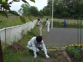 ボランティア作業