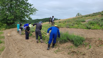 除草が進みきれいになりました