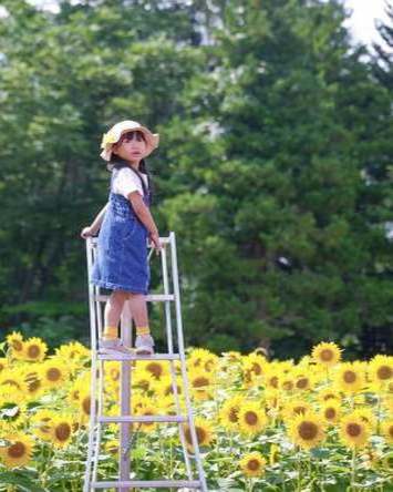 ひまわりより高い場所へ