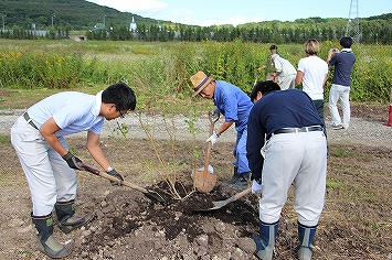 植樹